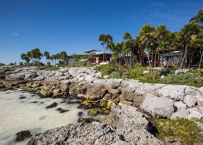 Hotel Mi By La Zebra, An Slh (adults Only) Tulum