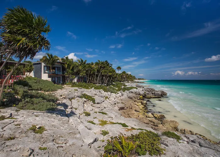Hotel Mi By La Zebra, An Slh (adults Only) 5*