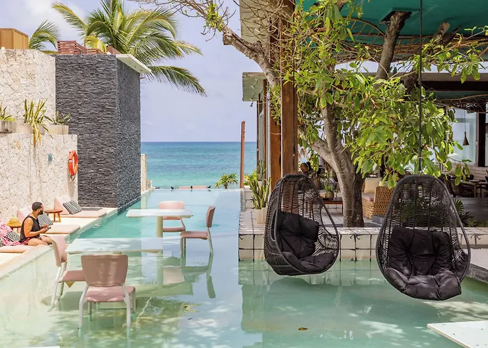Mi By La Zebra, An Slh (adults Only) 5*