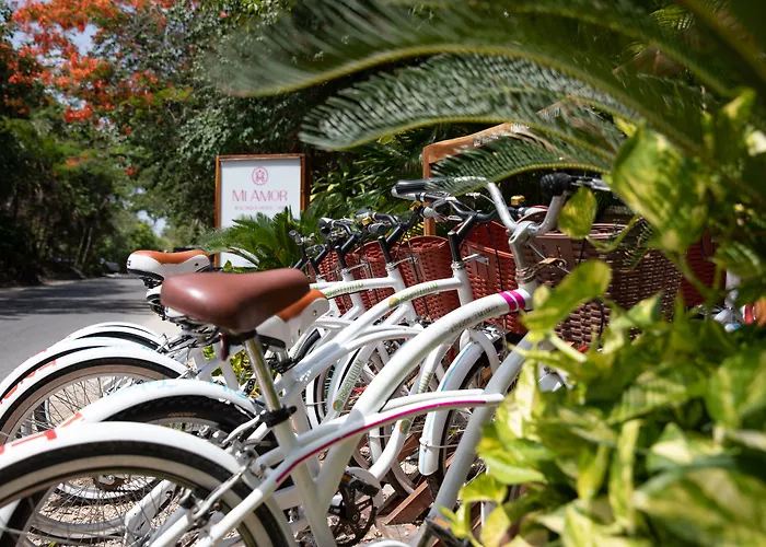 Hotel Mi By La Zebra, An Slh (adults Only) Tulum